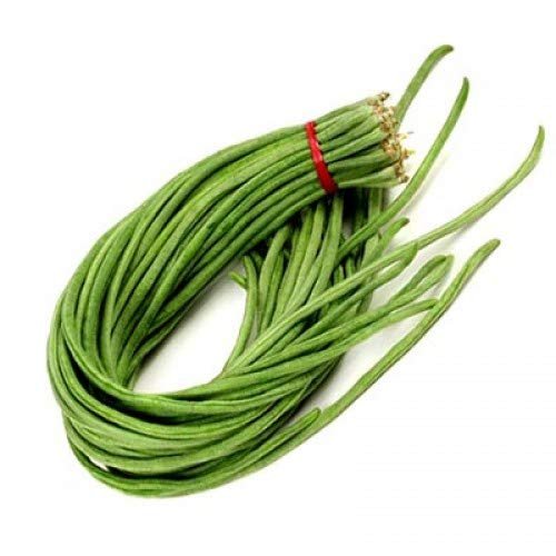 Bodo [Yardlong bean]