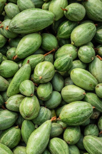 Parval [Pointed gourd]