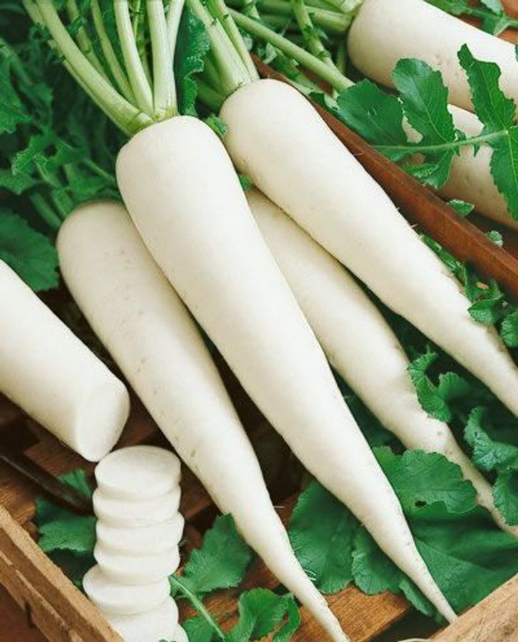 Muli [Radish]