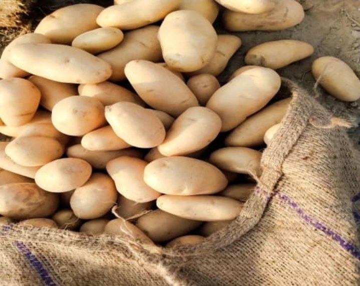 Aloo [Potato]